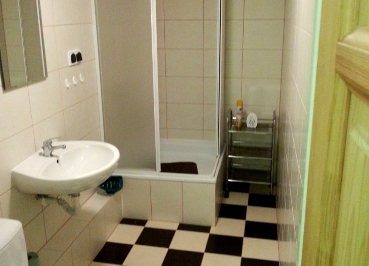 Zdjęcie łazienki w pokojach gościnnych Dzierżoniów